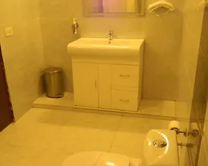 https://hotel-shyama-international.hotelsdelhi.org